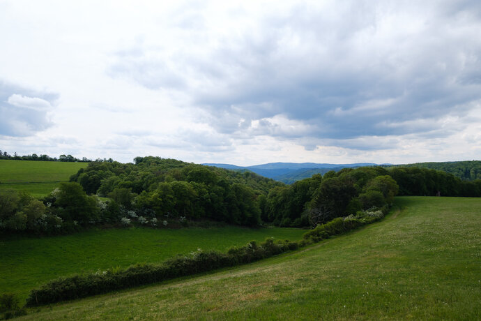 View from a plateau on the Wispertalsteig in the Taunus