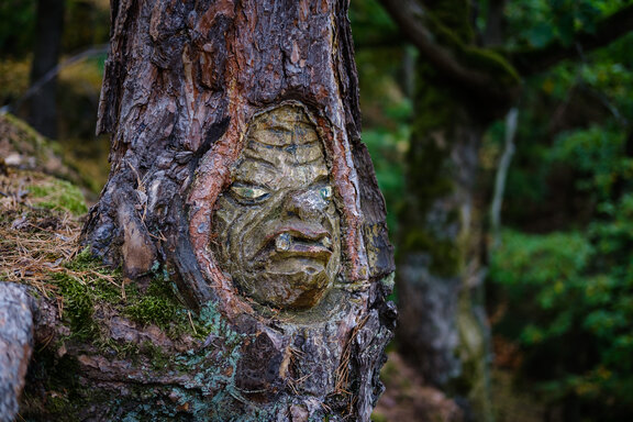 Grüne Kreatur die im Wald in einen Baum auf der 'Vitaltour Geheimnisvoller Lemberg' geschnitzt ist - Lemberg Geister