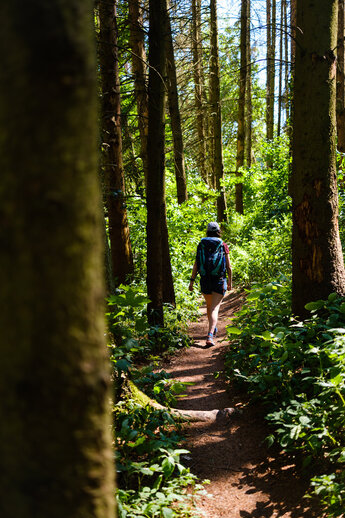 Eine Frau mit Rucksack wandert auf einem schmalen Trampelpfad zwischen den Bäumen im Wald.