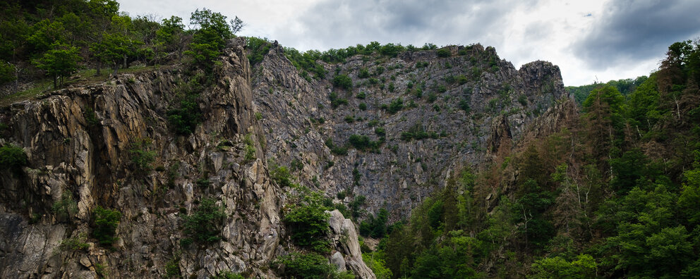 Blick ins Bodetal