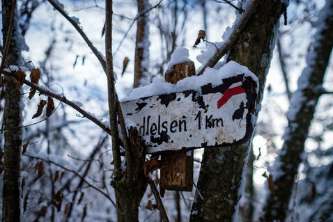 Old, weathered sign 'Bandfelsen 1km' in a tree