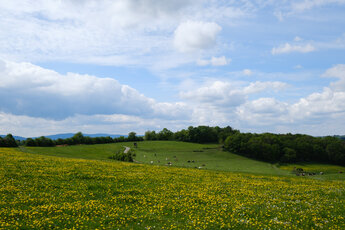 Hilly fields near Espenschied