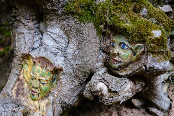 Zwei Köpfe von Phantasiegestalten die in einen Baum auf dem Lemberg geschnitzt sind