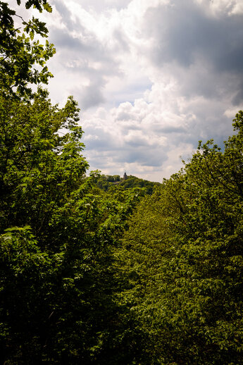 View to Castle Falkenstein