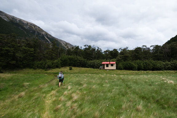 Hiker walking towards Waiau Hut through high grass