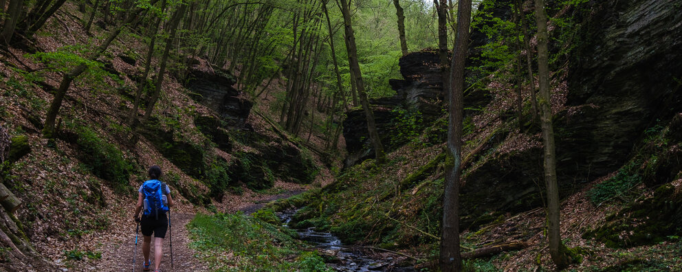 Frau mit blauem Rucksack und Wanderstöcken geht durch die Baybachklamm