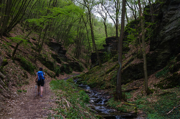 Woman with blue backpack walking through the Baybachklamm