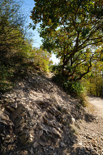 Steep gravel path up towards the Rotenfels