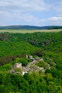 View onto the Schmidtburg castle from the Soonwald trail