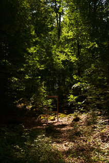 A wooden picture frame in the middle of a forest.