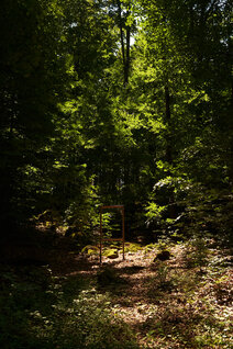 Ein hölzerner Bilderrahmen mitten im Wald zwischen den Bäumen.