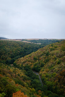 Blick auf herbstfarbene Wälder und Bäume in der Nähe des Lembergs