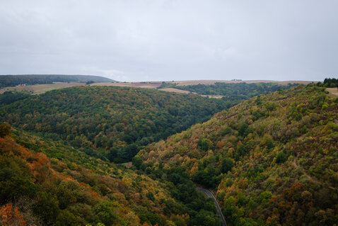 View into the 'Hagenbach Tal' valley with autumn coloured trees 