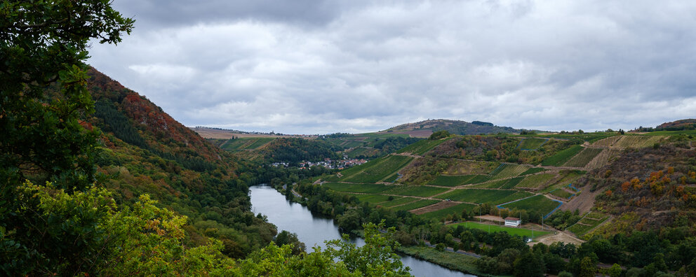 Blick in das malerische Nahetal und auf den Fluss 'Nahe' vom Weg der 'Vitaltour Geheimnisvoller Lemberg'