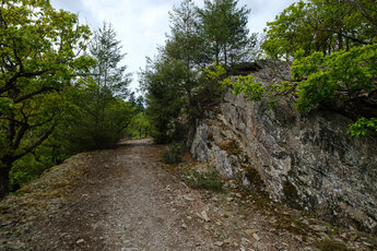 Weg und Steine in der Nähe des Mehrholzblicks im Wispertaunus
