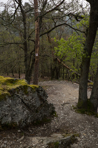 Rocky path leading into the Baybachklamm gorge