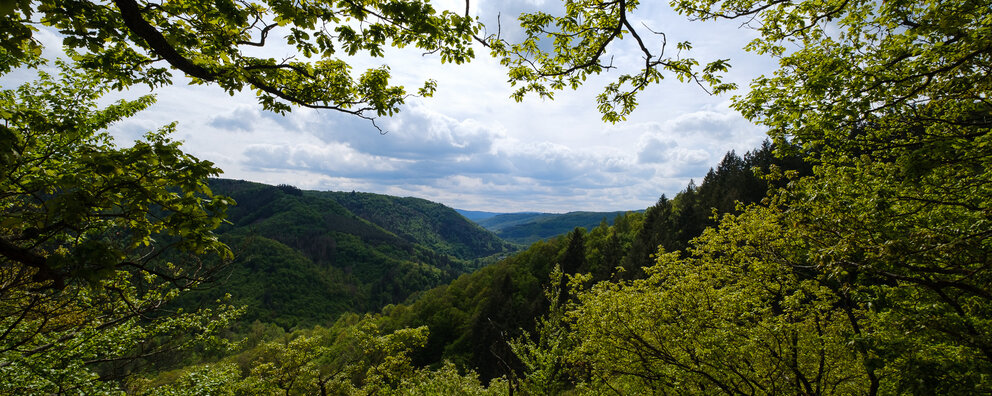 Blick in den Wispertaunus in der nähe des Mehrholzblicks