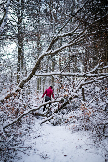 Person in pinker Jacke klettert über umegstürzten Baum im Schnee