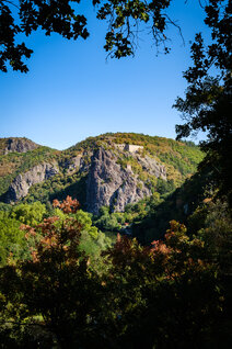 Blick auf die Ruine Rheingrafenstein von der Alternativroute des TourNatur Wanderwegs nach Bad Münster