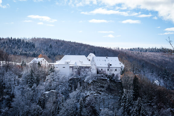 Blick auf die in Schnee gehüllte Burg Wildenstein