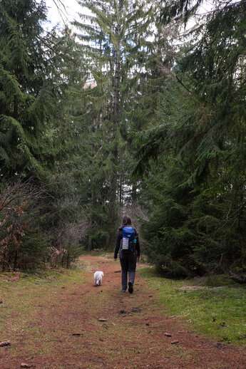 Eine junge Frau mit Hund auf einem Wanderweg im Wald