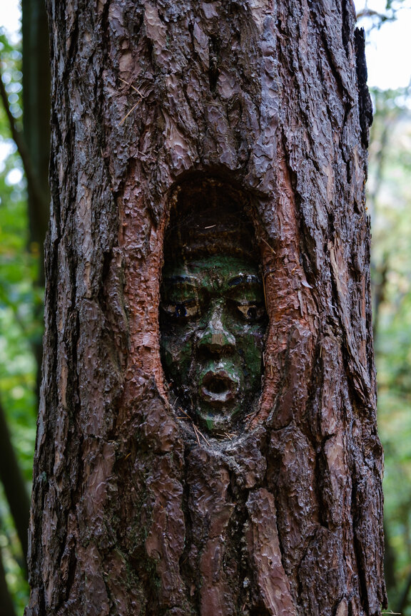 Grüner 'Lemberg Geist' der in ein Baumloch geschnitzt ist