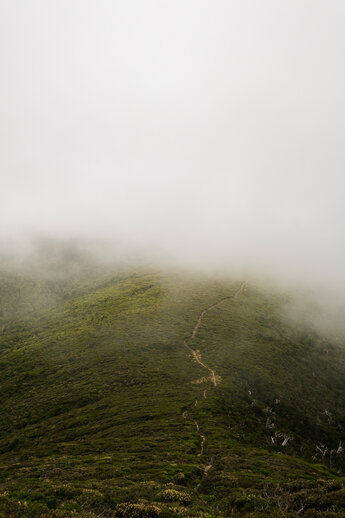 The trail to Pouakai Circuit hidden in fog