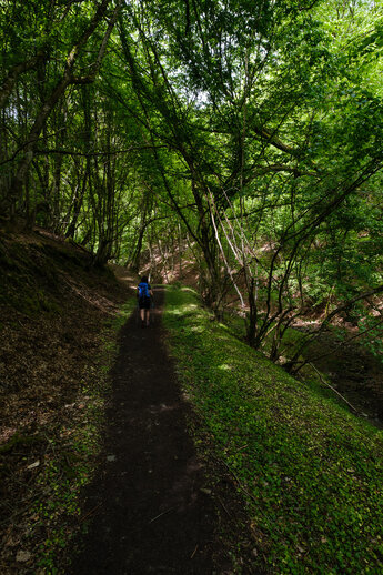 Woman walking on a trail through the forest