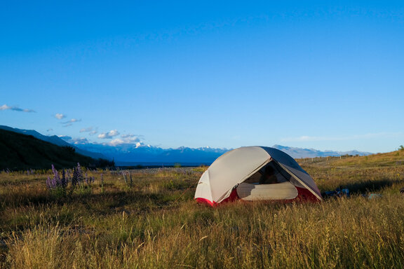 MSR Hubba Hubba NX on a grass field in New Zealand / Te Araroa trail